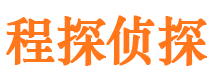 邢台县市调查公司